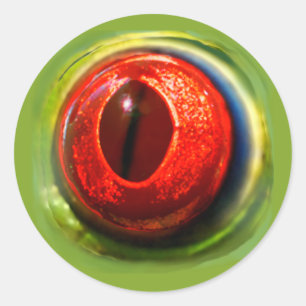 Pegatina Redonda Béisbol de rana teñida roja irky realista