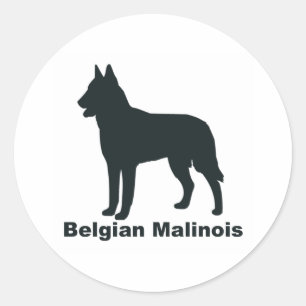 Pegatina Redonda Belga Malinois