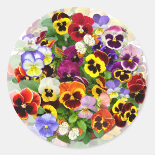 Pegatina Redonda Belleza Pansy con mariposas