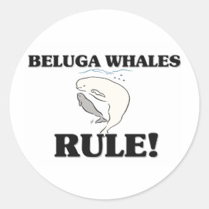 PEGATINA REDONDA ¡BELUGA BALLENAS GESTIONA!