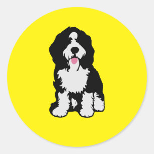 Pegatina Redonda Bernedoodle