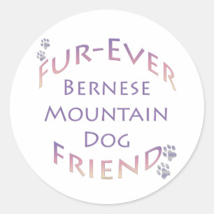 Pegatina Redonda Bernese Mountain Dog Furever