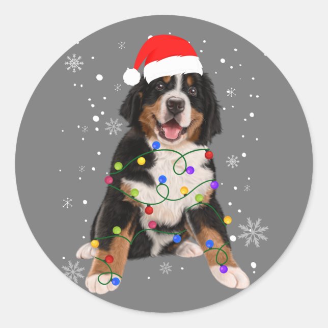 Pegatina Redonda Bernese Mountain Dog ilumina a Navidades coincidie (Anverso)