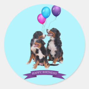 Pegatina Redonda Bernese Mountain Dogs Feliz cumpleaños