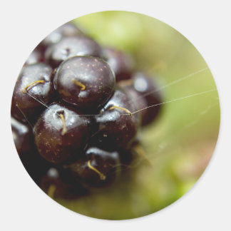 Pegatina Redonda Berry Nice