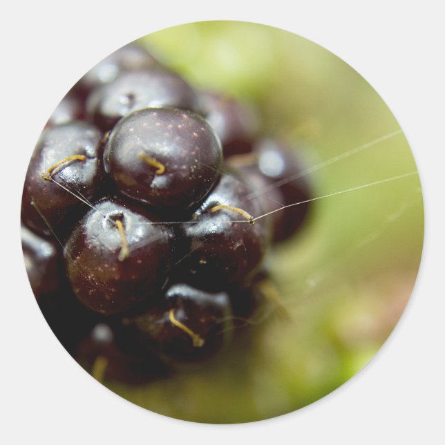 Pegatina Redonda Berry Nice (Anverso)