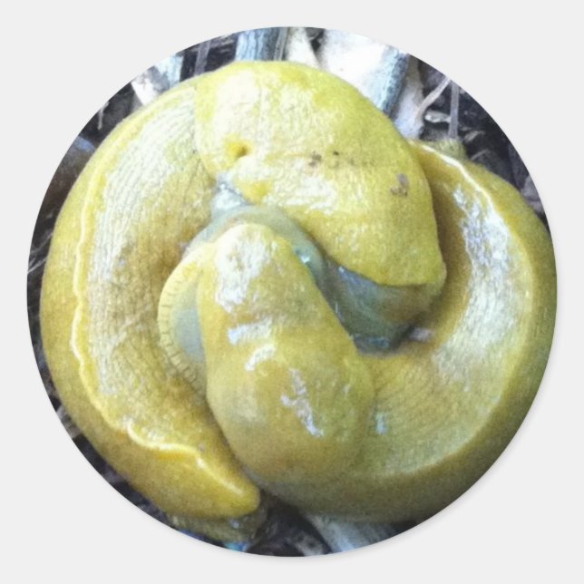 Pegatina Redonda besos babosos bananeros (Anverso)