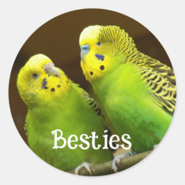 Pegatina Redonda Besties Green and Yellow Parakeets
