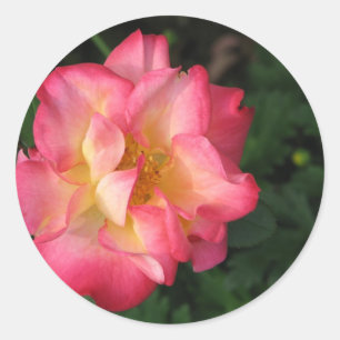 Pegatina Redonda Betty Boop - 24 de mayo de 2009 139