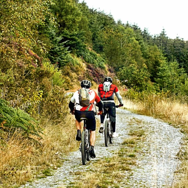 PEGATINA REDONDA BICICLETA DE MONTAÑA (Subido por el creador)