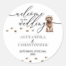 Bienvenida al Boda perrito de Cavapoo marrón