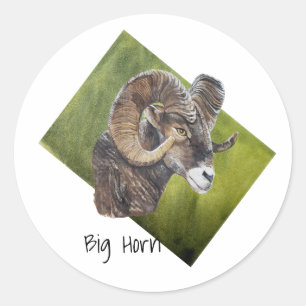 Pegatina Redonda Big Horn Ram Sheep en Green