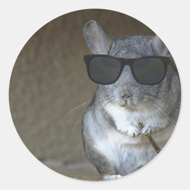 Pegatina Redonda Big Shot Chinchilla (Anverso)