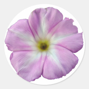 Pegatina Redonda Bindweed #1