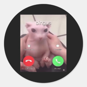 Pegatina Redonda Bingus Está Llamando A Sphinx Sin Pelo Gato Gato M