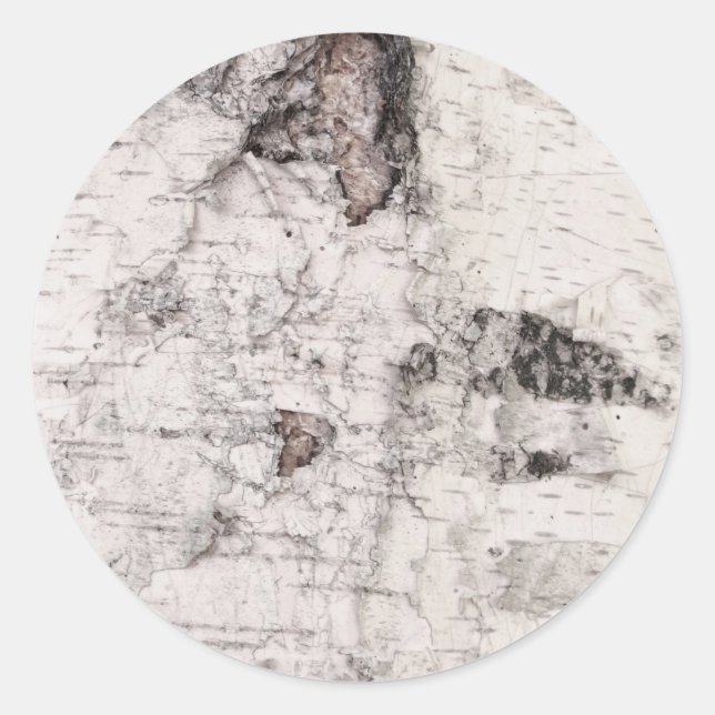 Pegatina Redonda Birch bark pattern classic round sticker (Anverso)