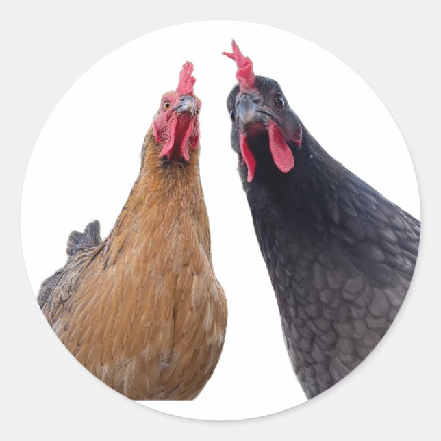 Pegatina Redonda Birds with Attitude Sticker (Anverso)