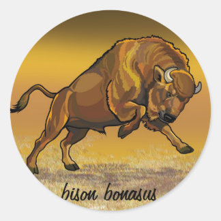 Pegatina Redonda bison europeo