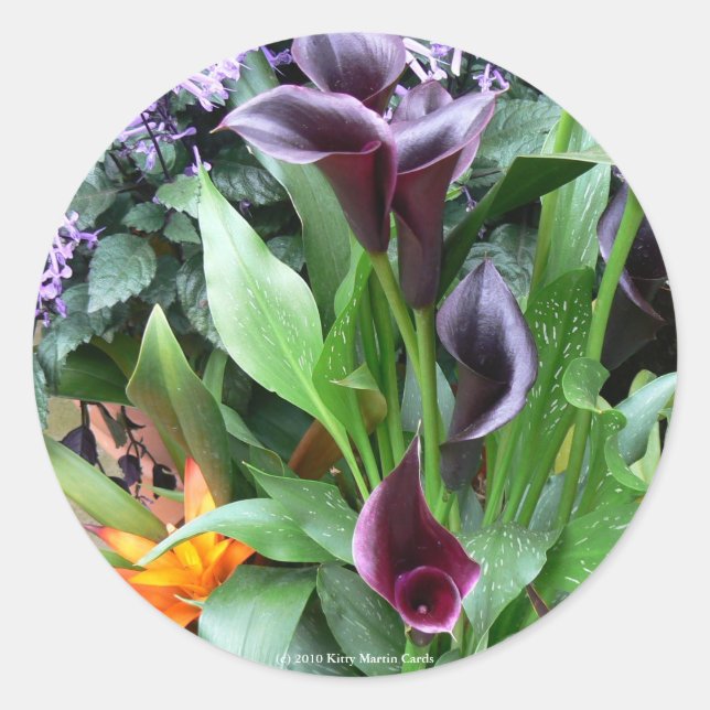 Pegatina Redonda Black Calla Lilies (Anverso)