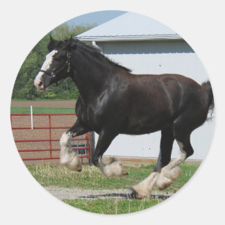 Pegatina Redonda Black Clydesdale
