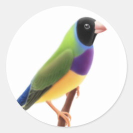 Pegatina Redonda Black Faced Gouldian Finch