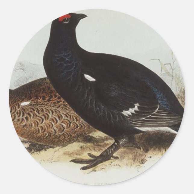 Pegatina Redonda Black Grouse (Anverso)