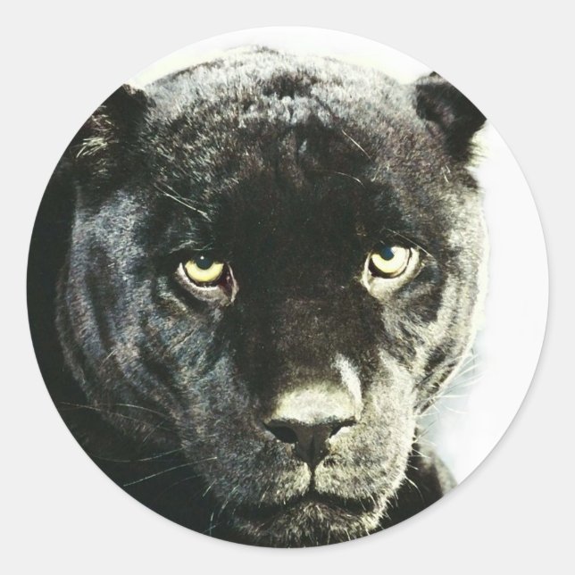 Pegatina Redonda Black Jaguar Panther (Anverso)