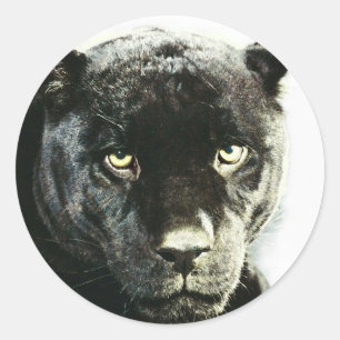 Pegatina Redonda Black Jaguar Panther