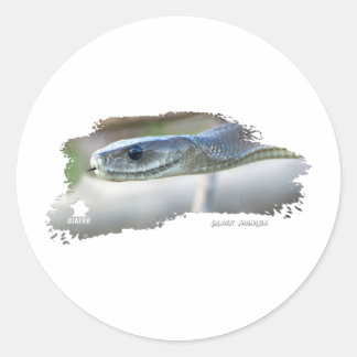 Pegatina Redonda Black Mamba