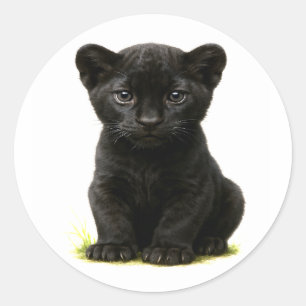 Pegatina Redonda Black Panther Cub con ojos grandes