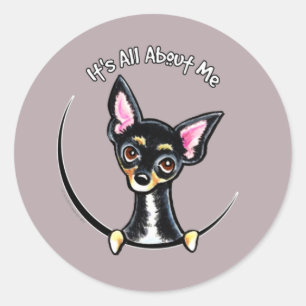 Pegatina Redonda Black Tan Smooth Chihuahua IAAM