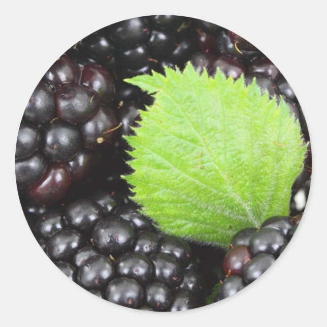 Pegatina Redonda Blackberries (Anverso)