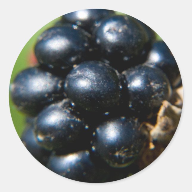 Pegatina Redonda Blackberries (Anverso)