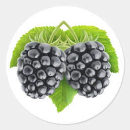 Pegatina Redonda Blackberries sobre hojas