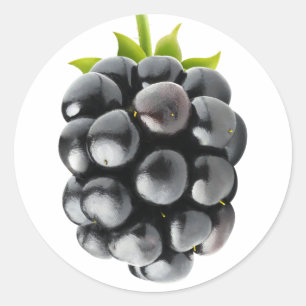 Pegatina Redonda Blackberry