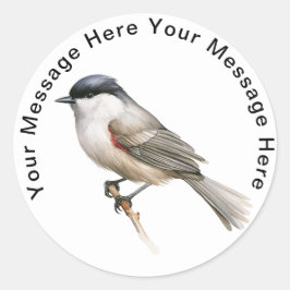Pegatina Redonda Blackcap