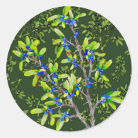 Blackthorn Dak Green