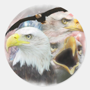 Pegatina Redonda Blad Eagles