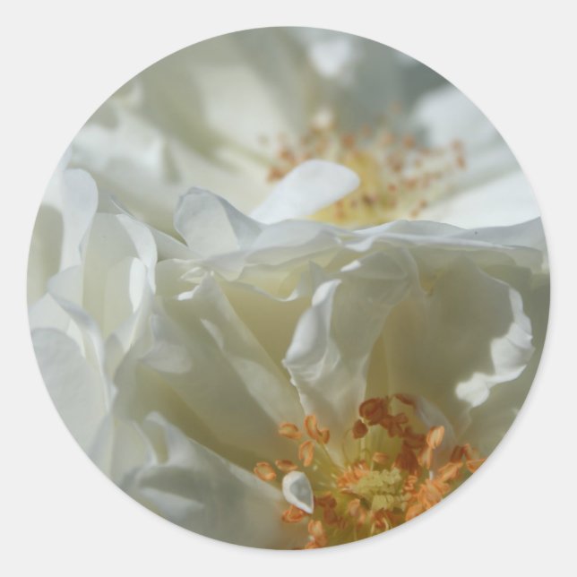 Pegatina Redonda Blanca Dulce 1 (Anverso)