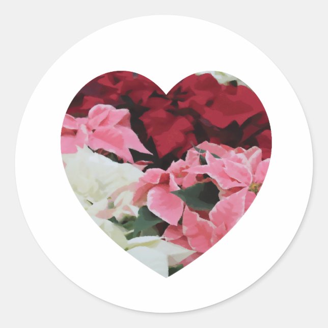 Pegatina Redonda Blanco rojo y rosa corazón de Poinsettia de invier (Anverso)