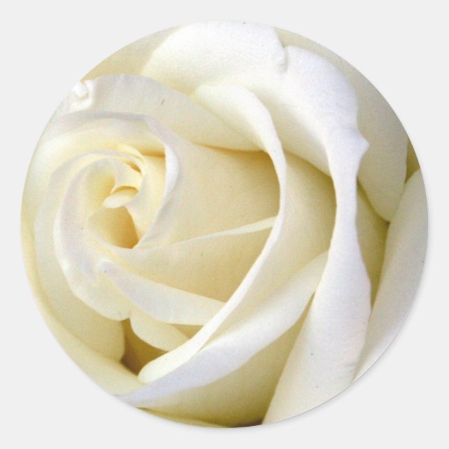 Pegatina Redonda Blanco Rosa (Anverso)