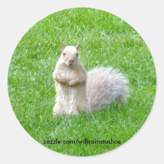 Pegatina Redonda Blonde Squirrel