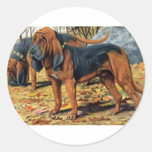 Pegatina Redonda Bloodhound