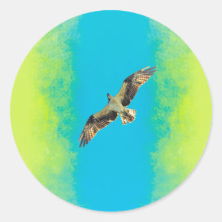 Pegatina Redonda Blue and yellow