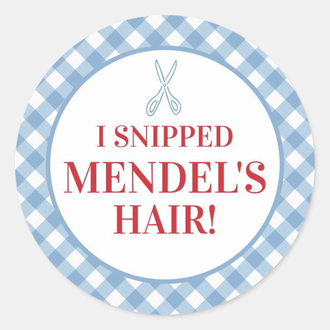 Pegatina Redonda Blue Gingham Upsherin "¡Le Corté El Pelo!" Pegatin (Anverso)