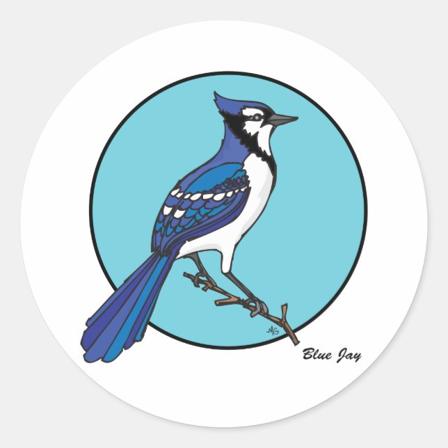 PEGATINA REDONDA BLUE JAY (Anverso)