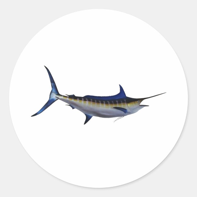 Pegatina Redonda Blue Marlin Fish (Anverso)