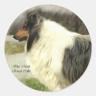 Pegatina Redonda Blue Merle Rough Collie Gifts