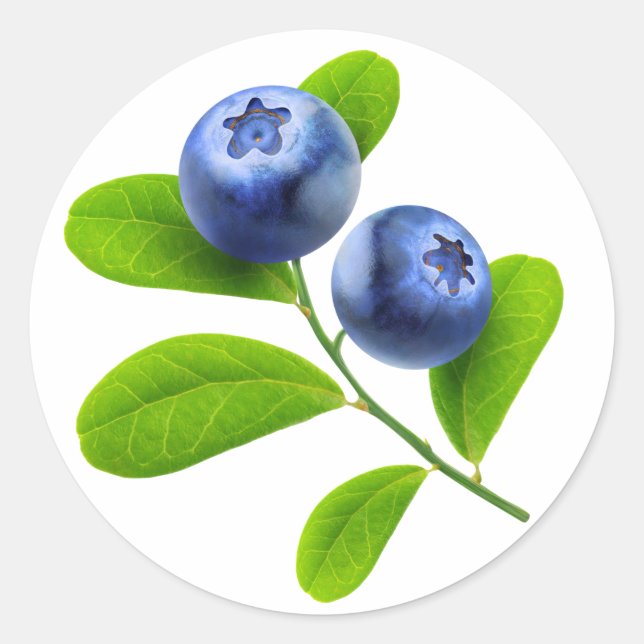 Pegatina Redonda Blueberries (Anverso)