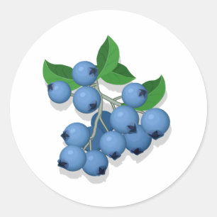 Pegatina Redonda Blueberries